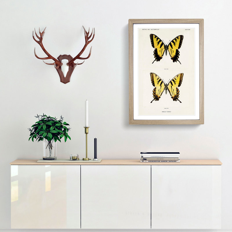 Eastern Tiger Swallowtail Butterfly by S.F. Denton - Picture Frame Graphic Art Print, 48cm H x 36cm W x 2cm D, Oak Framed