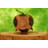 Brendt Animals Piggy Bank