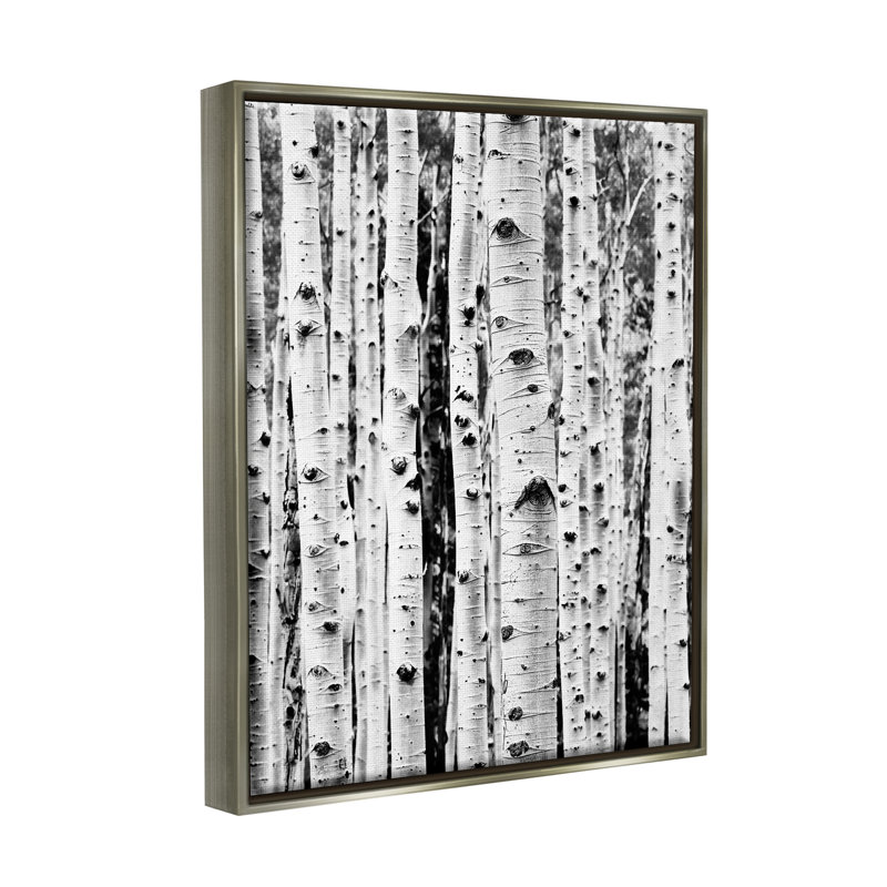 «Millwood Pines Birch Trees Forest», art mural encadré par Sissi et Seb, H 21 po x l 17 po x P 1,7 po
