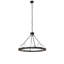 12 - Light Chandelier
