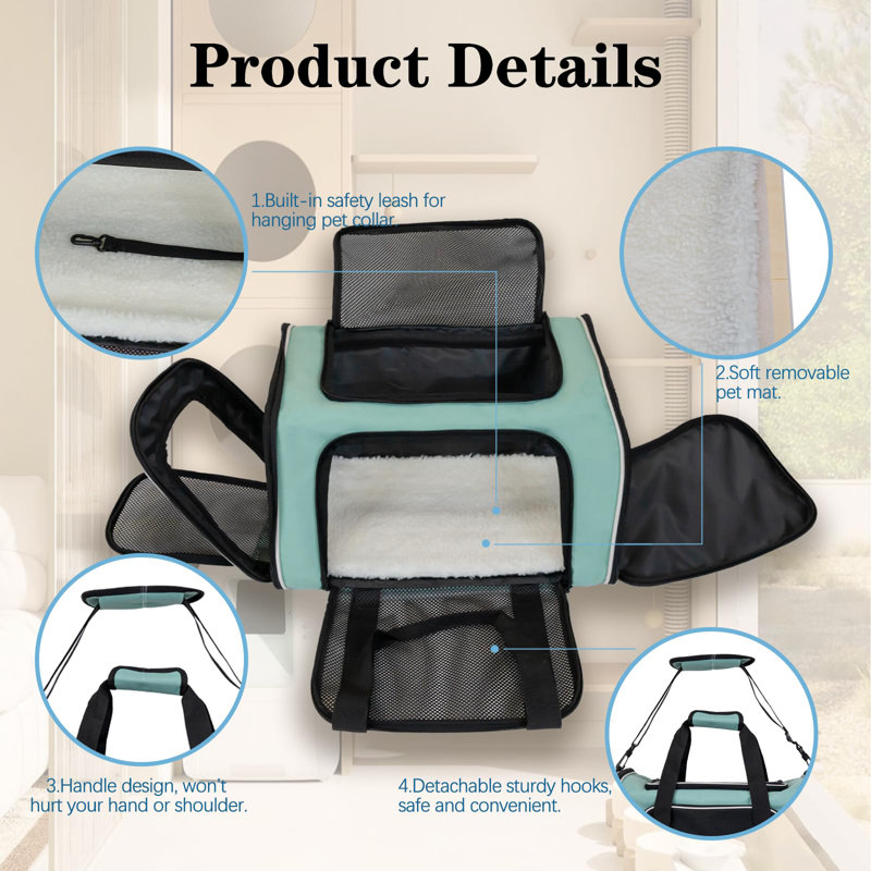 Green Airline Approved Foldable Pet Travel Carrier