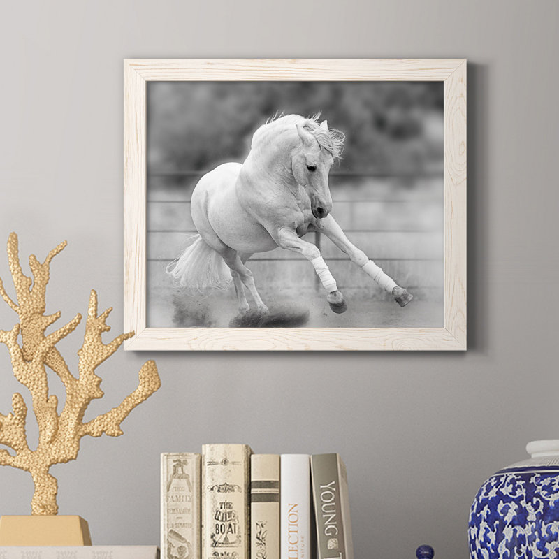 «All for Show», reproduction de photo sur toile encadrée, H 20 po x l 17 po x P 1,5 po, Blanc