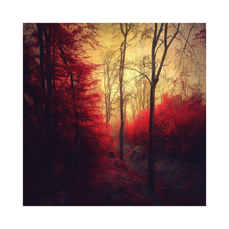 Forêt rouge rubis - reproduction d'art murale - toile encadrée, H 26 po x l 26 po, Toile tendue, Ne s’applique pas