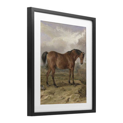 «Horse & Hare in Nature», reproduction encadrée sous verre, conception de Corinne Haig