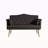 Black Velvet Loveseat Sofa