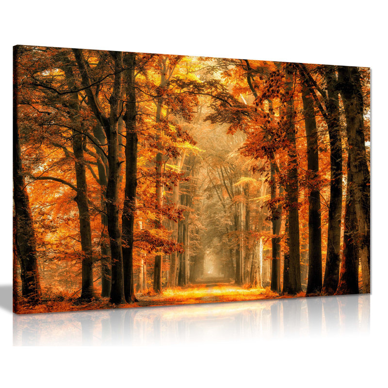 Fairytale Forest In Autumn - Wrapped Canvas Print, 61cm H x 91cm W x 1.8cm D