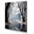 Toile tendue
