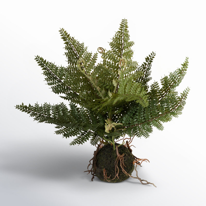 11'' Faux Fern Plant in Freestanding