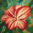 Blooming Daylilies - Botanical Red Framed Canvas for Decor
