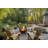 Gawlas Sphere Smokeless Fire Pit-1574978091
