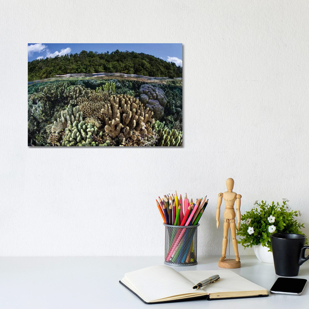 A Diverse Array Of Reef-Building Corals In Raja Ampat, Indonesia I von Ethan Daniels - Gallery-Wrapped Canvas Giclée on ...