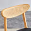 Brynia Wood & Rattan Upholstered Dining Chairs-106460917