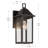 14" 1-Light Outdoor Wall Light with Clear Glass-115680857-115680859