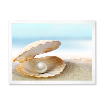 " Shell With A Pearl "