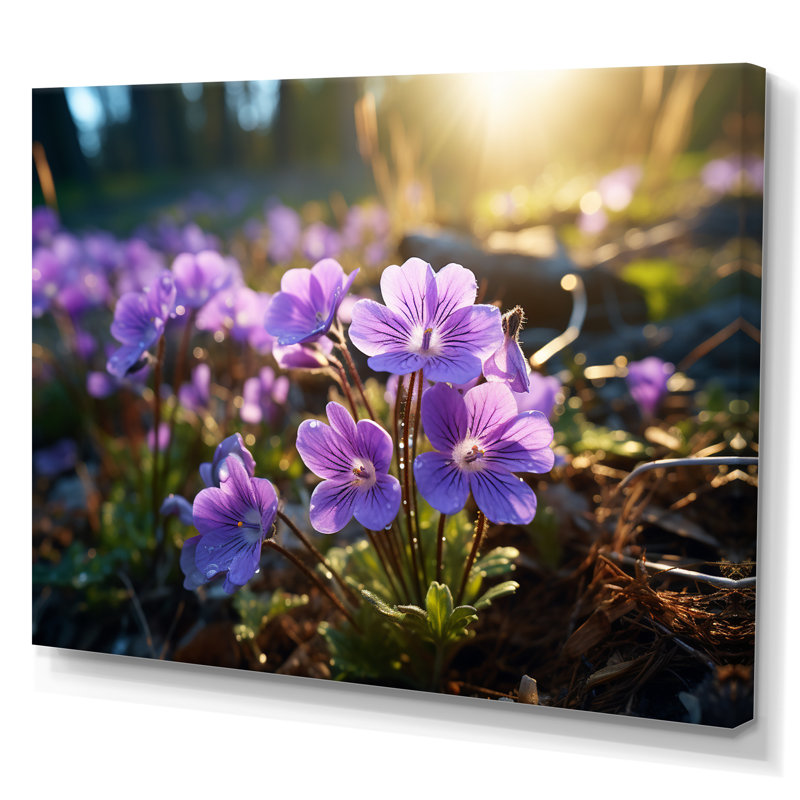 «Violets Field At Sunrise II», reproduction sur toile, H 30 po x l 40 po x P 1,5 po, Toile tendue
