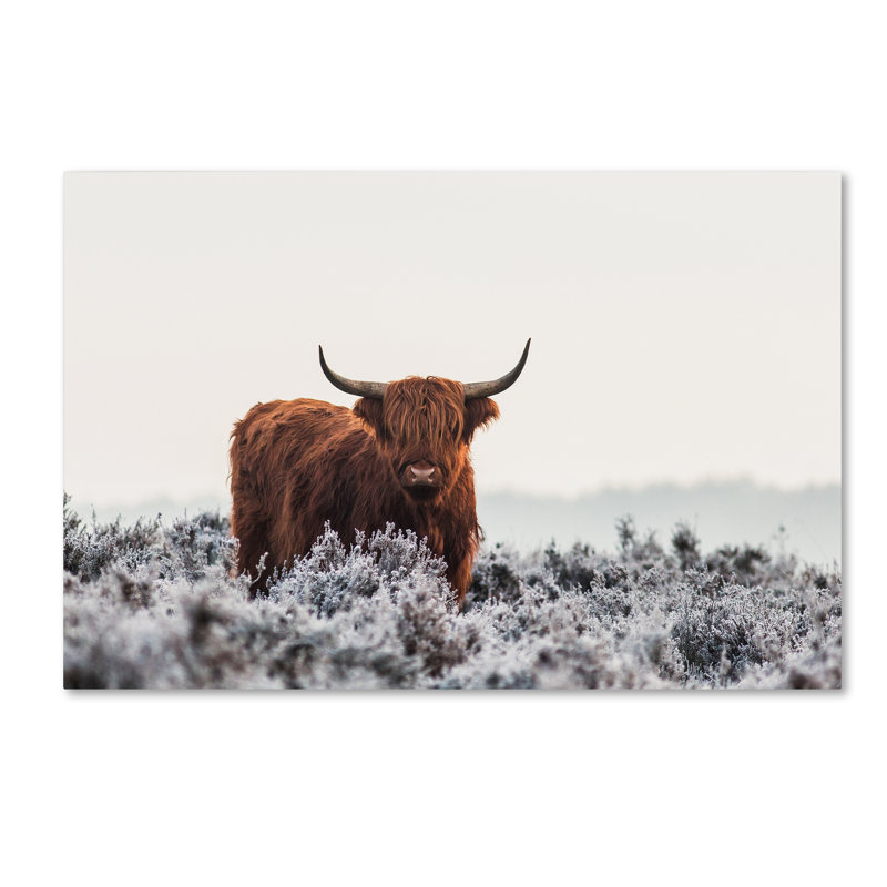 Art mural sur toile tendue - Jaap Van Den «Highlander» pour décoration de salon, de chambre à coucher ou de bureau - 12 x 19