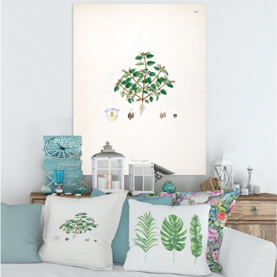 «Vintage Plant Life XIII», peinture sur toile