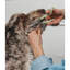 Cisailles pour animaux Pet