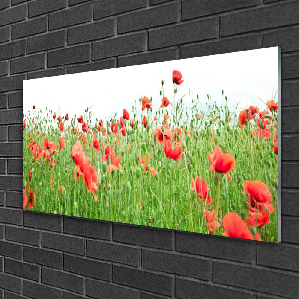 Glasbild Poppies Nature