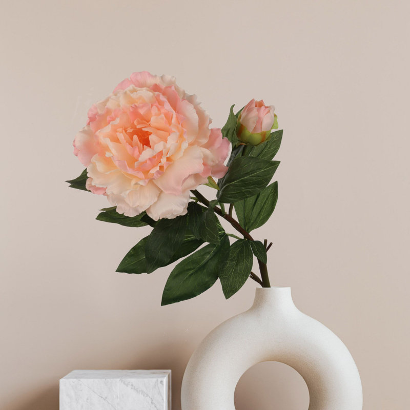 Tige de pivoine, Rose clair, 3