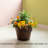 Eugenia Handmade Wood Barrel Planter-884268552