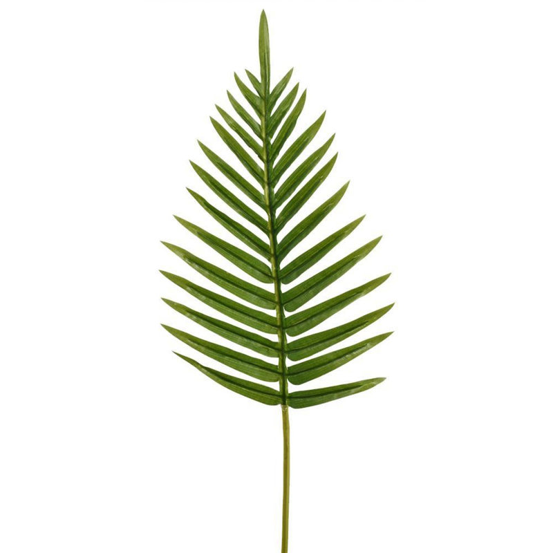 Fausse feuille de fougère