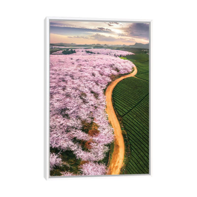 Cherry Blossoms by Tianqi - Floater Frame Print on Canvas