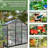 Greenhouse - Polycarbonate Panels And Secure Lock Outdoor Aluminum Rust--115808154