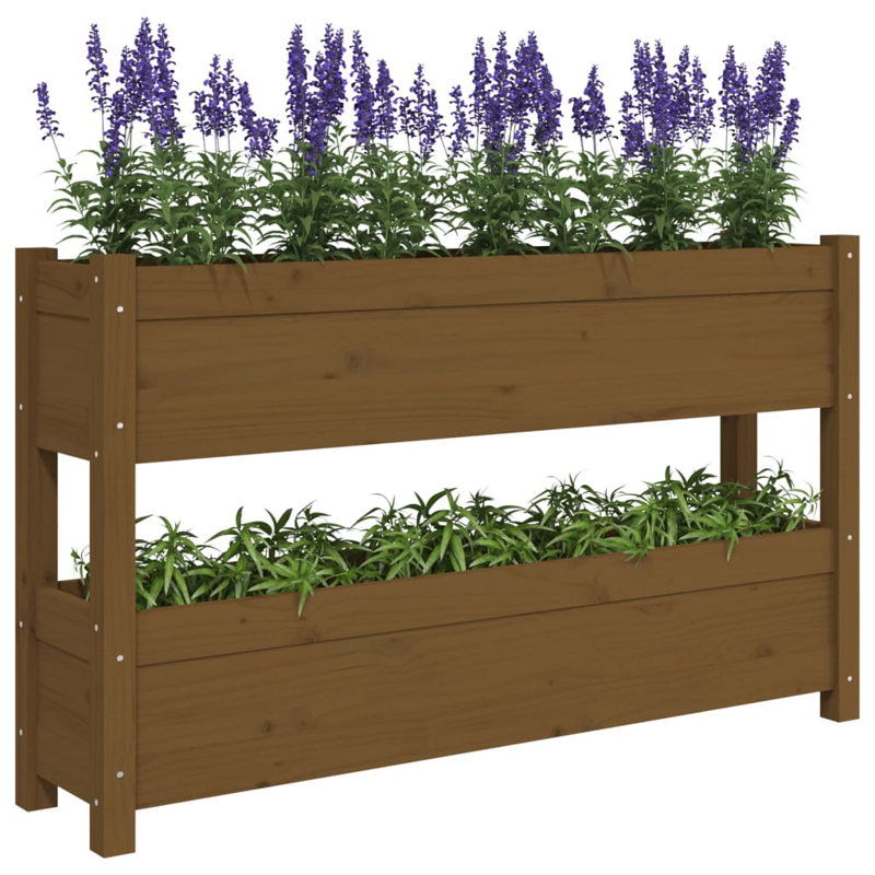 Vertical Garden, 66cm H x 112cm W x 25cm D