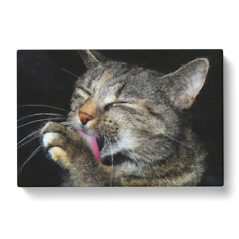 Portrait of a Cat Vol.11 - Wrapped Canvas Graphic Art, 35cm H x 50cm W x 3cm D