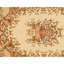 Hand Knotted Area Rug in Beige