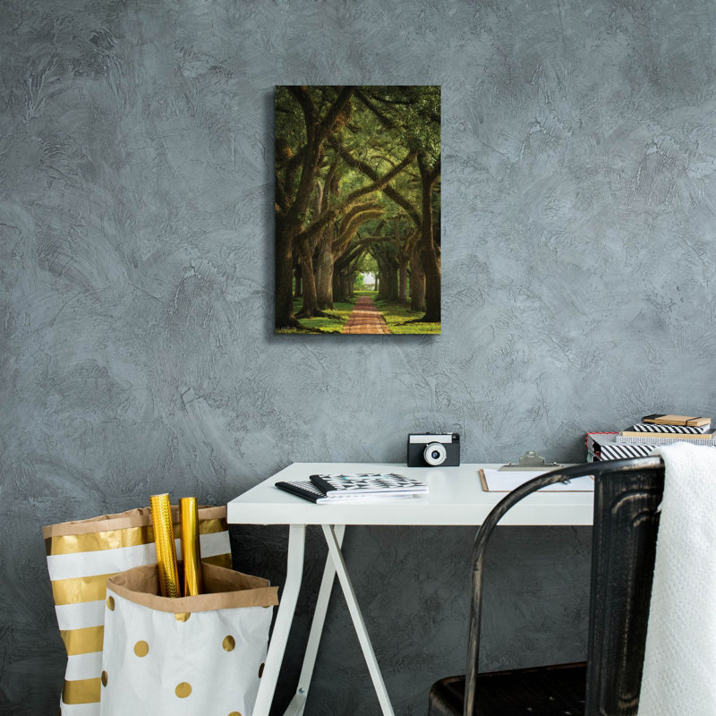  «Live Oaks In The Morning Light» par Martin Podt, art mural sur toile, 12 po x 18 po, H 18 po x l 12 po