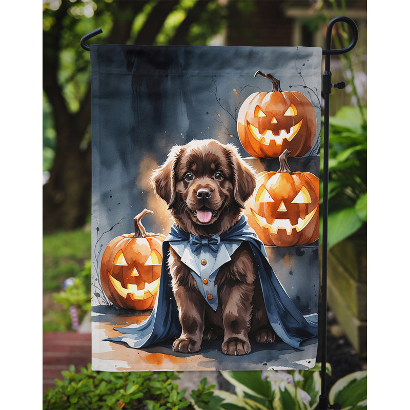 Drapeau de jardin chiot Halloween, Chocolat Terre-Neuve
