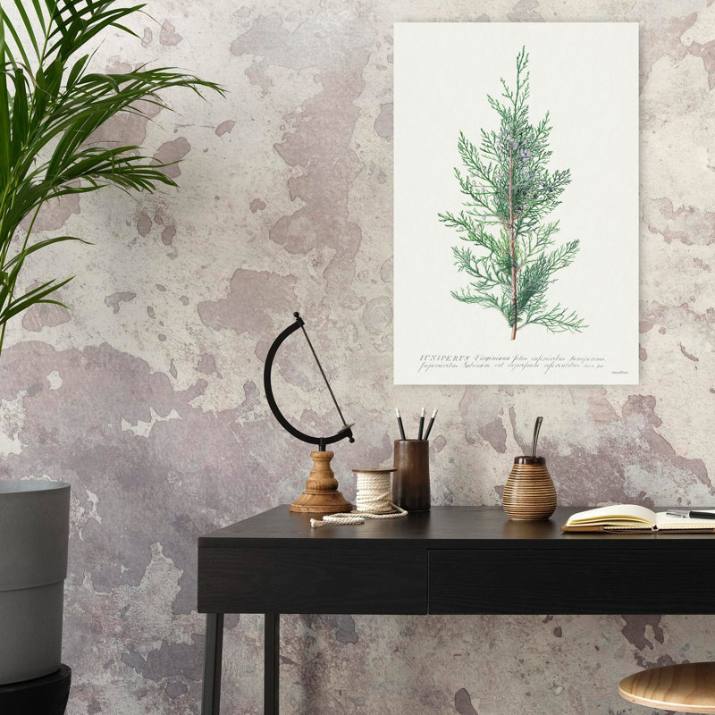 Print, 60.96cm H x 40.64cm W