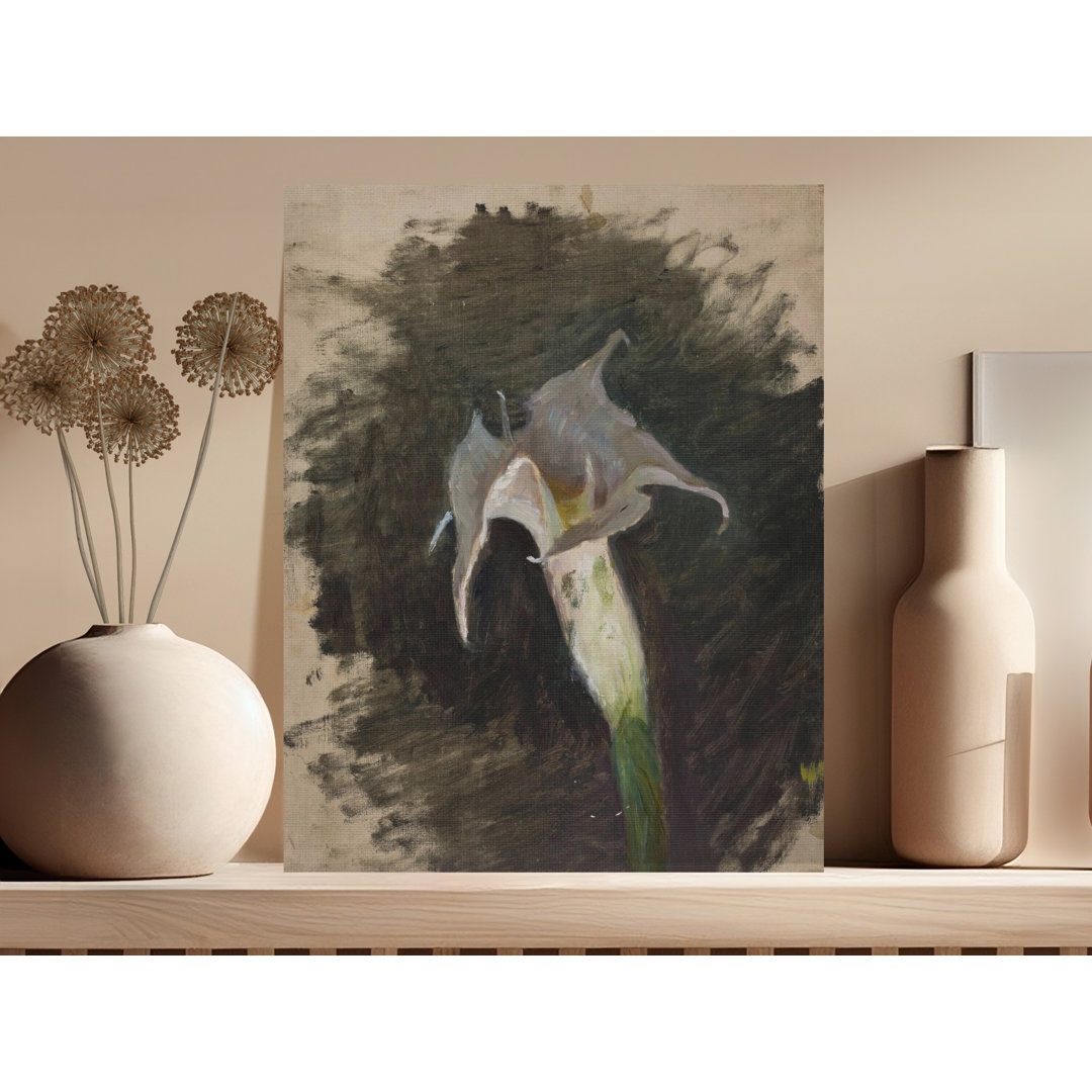 Moody Datura Flower Hesson