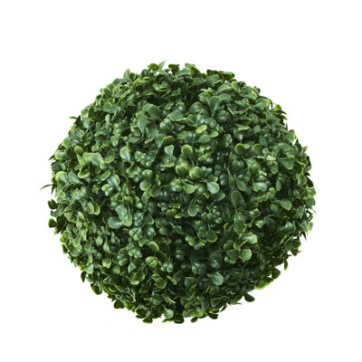 Topiaire buis ball plante