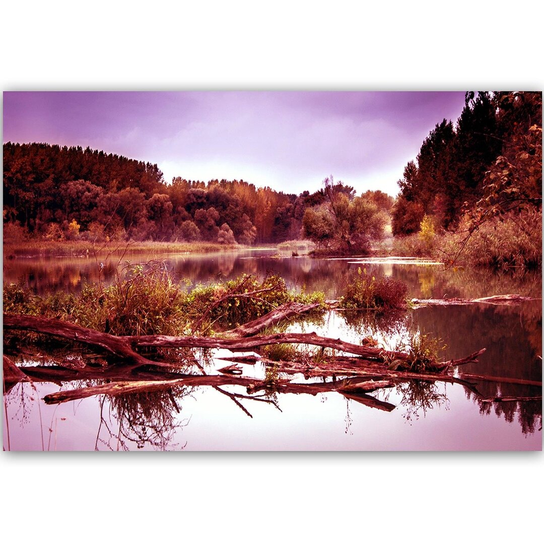 Leinwandbild Umgefallener Baum im See 3