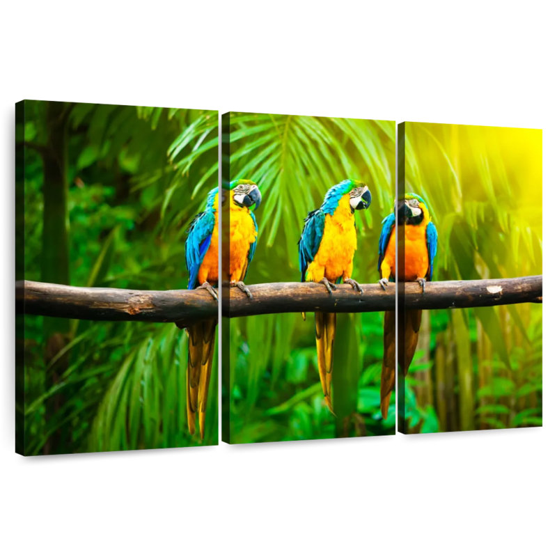 Brampt Blue And Yellow Macaws, 36" H x 57" W