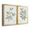 Toile encadrée Herb Sage Premium - prête à être accrochée-1062113813-1062113810