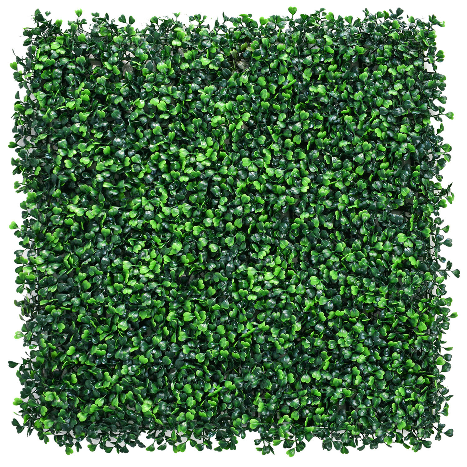 Primrue Monisola Greenery Wall Wayfair