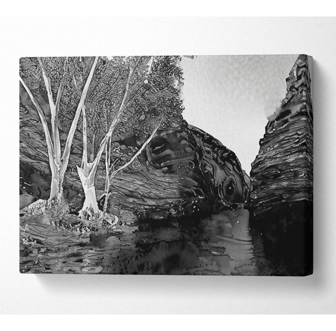 B N W Valley Stille Wasser - Druck