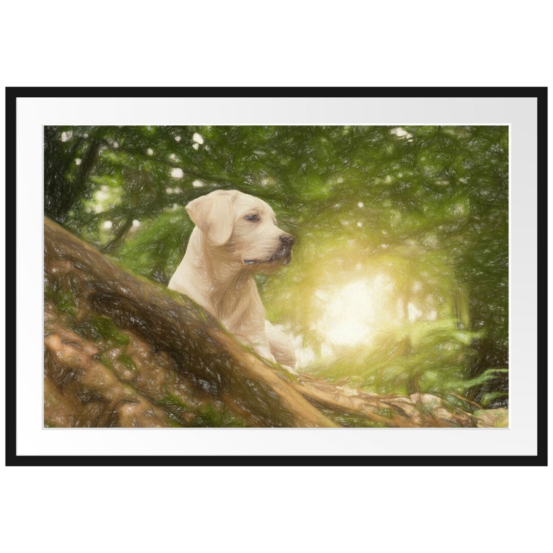 Gerahmtes Poster Labrador Welpe im Wald