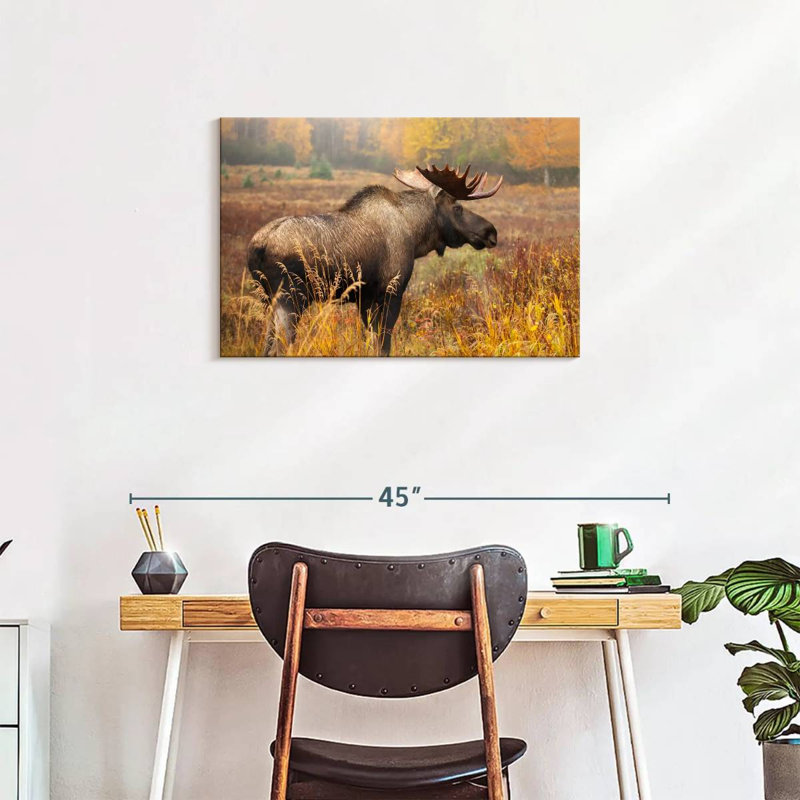 Crowle Mighty Alaskan Moose, 20" H x 30" W