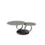 Ashneel Extendable Pedestal Coffee Table