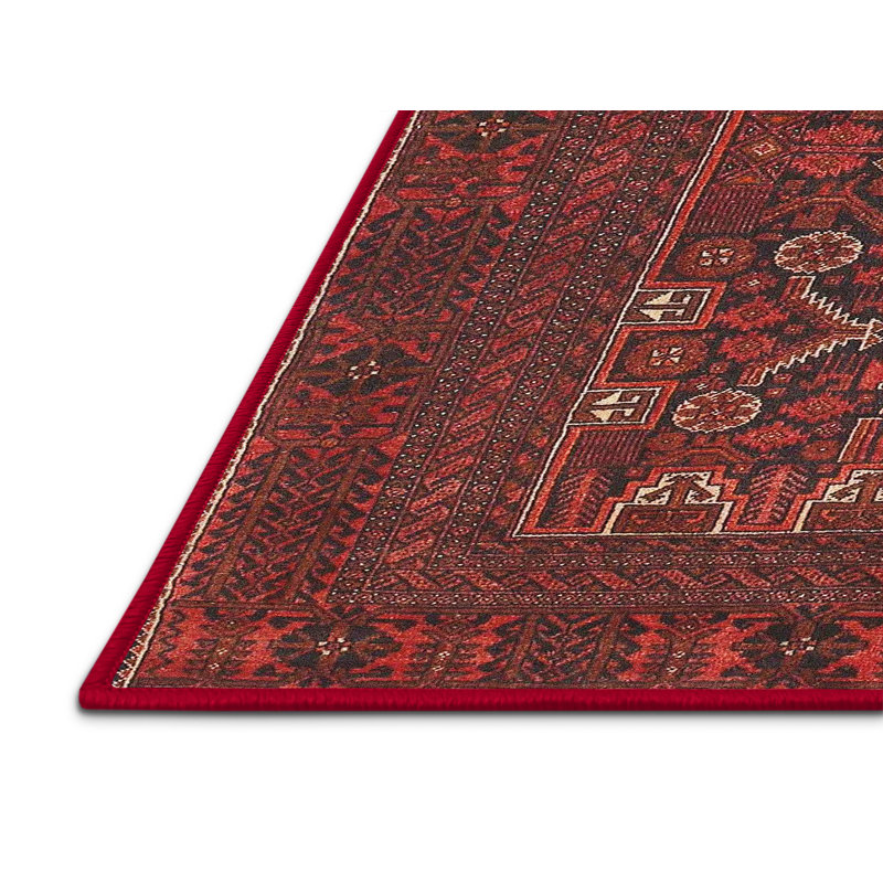 Castoria Oriental Indoor Rug, Rectangle 3' x 5'