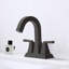 Topcraft Stainless Steel Two Handle Bathroom Faucet With Pop-Up Drainer