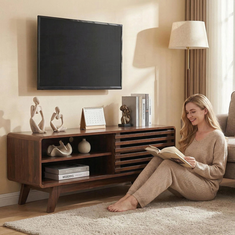 TV Stand with Storage