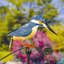 Piquet de jardin Shanin