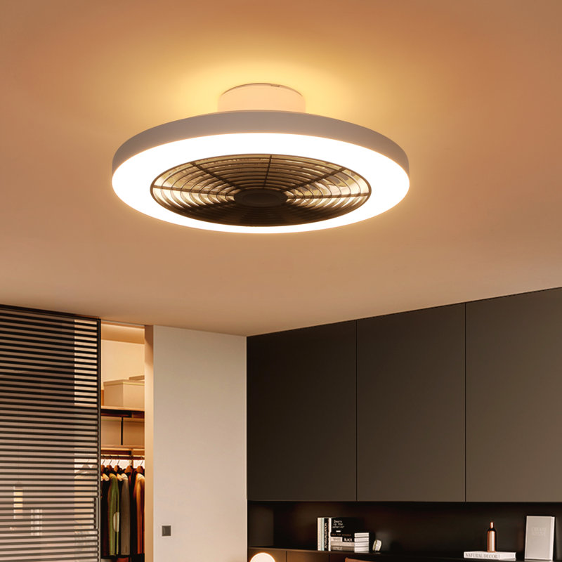 Hemion 19.6" Rgb Ceiling Fan With Led Lights And Remote Control (ser Of 2), Black