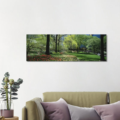 Trees In A Park, Central Park, Manhattan, New York City, New York State, USA #2 - Wrapped Canvas Panoramic Print